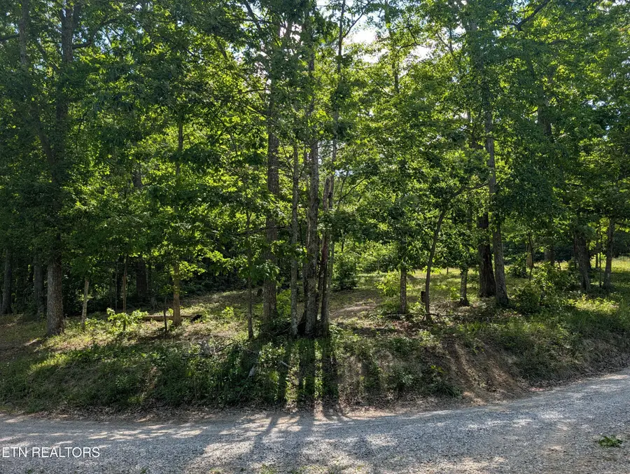 Lot 94/95 Red Oak Lane, Spring City, TN 37381 - #2