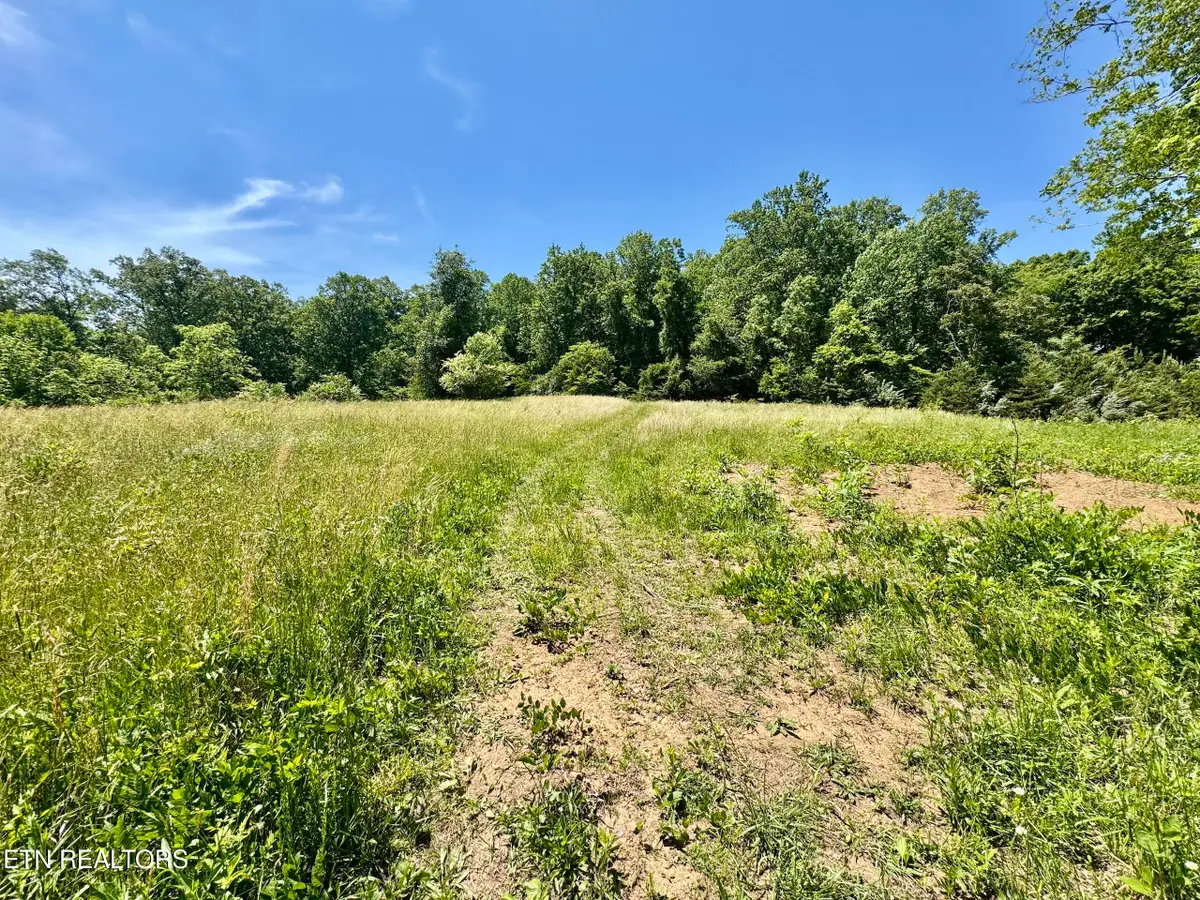 Ridgeview Drive, Clinton, TN 37716 - #1