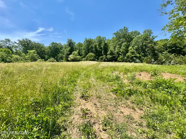 Ridgeview Drive, Clinton, TN 37716