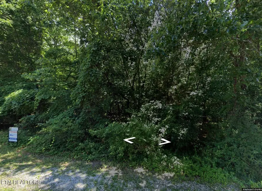 318 Snead Drive, Crossville, TN 38558 - #3
