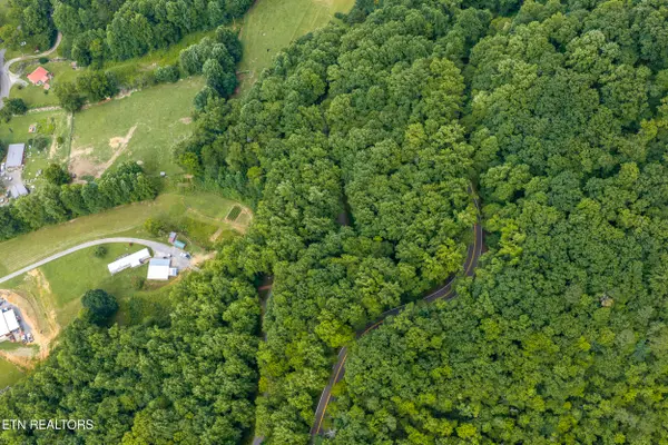 Emilyville Way, Cosby, TN 37722