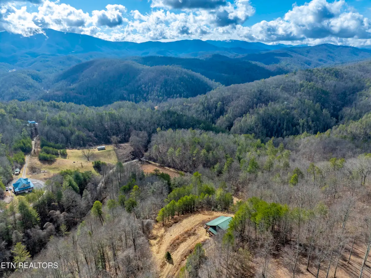 000 Kizzy Patch Way, Del Rio, TN 37727 - #1