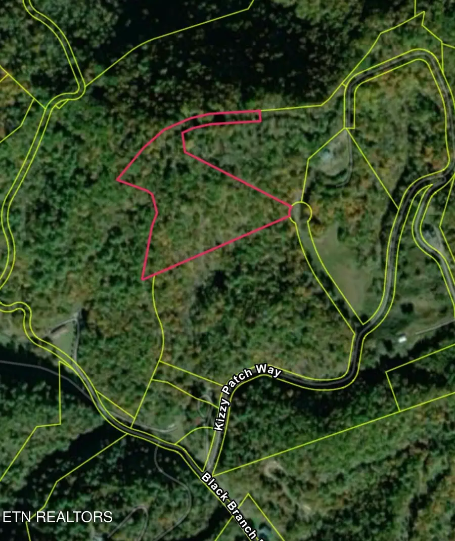 000 Kizzy Patch Way, Del Rio, TN 37727 - #2