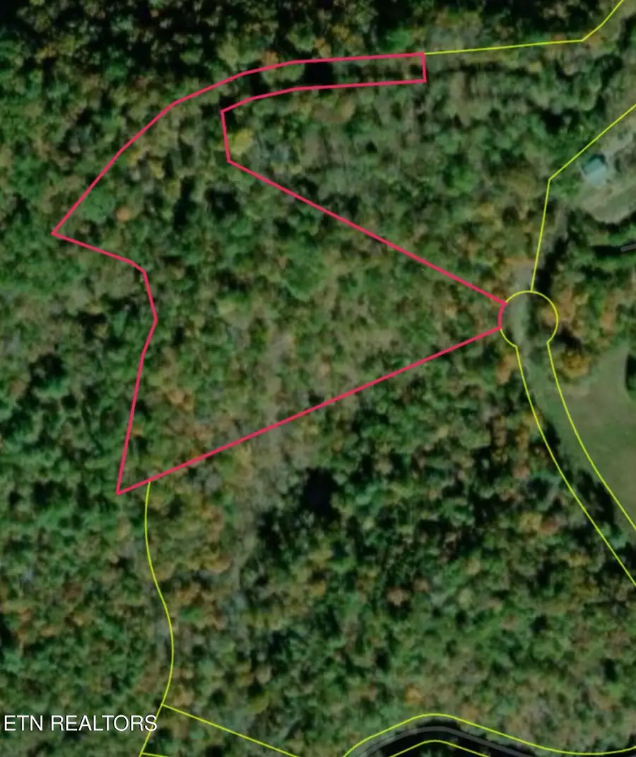 000 Kizzy Patch Way, Del Rio, TN 37727 - #3