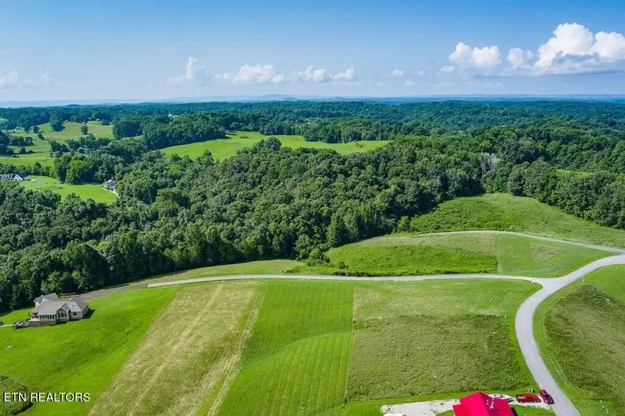 Lot 13 Holly Bend Drive, Byrdstown, TN 38549 - #3