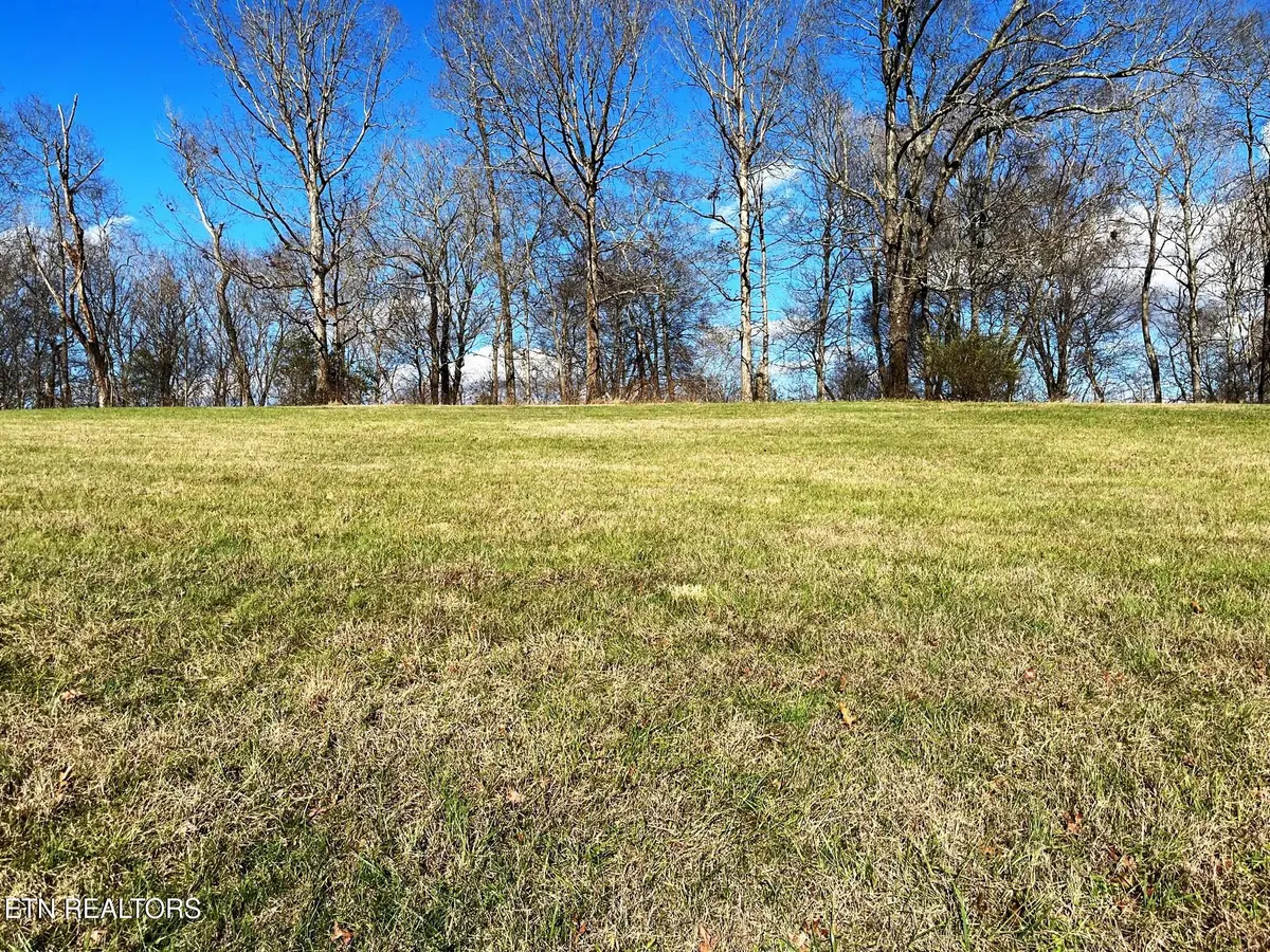 2027 River Mist, New Market, TN 37820 - #1