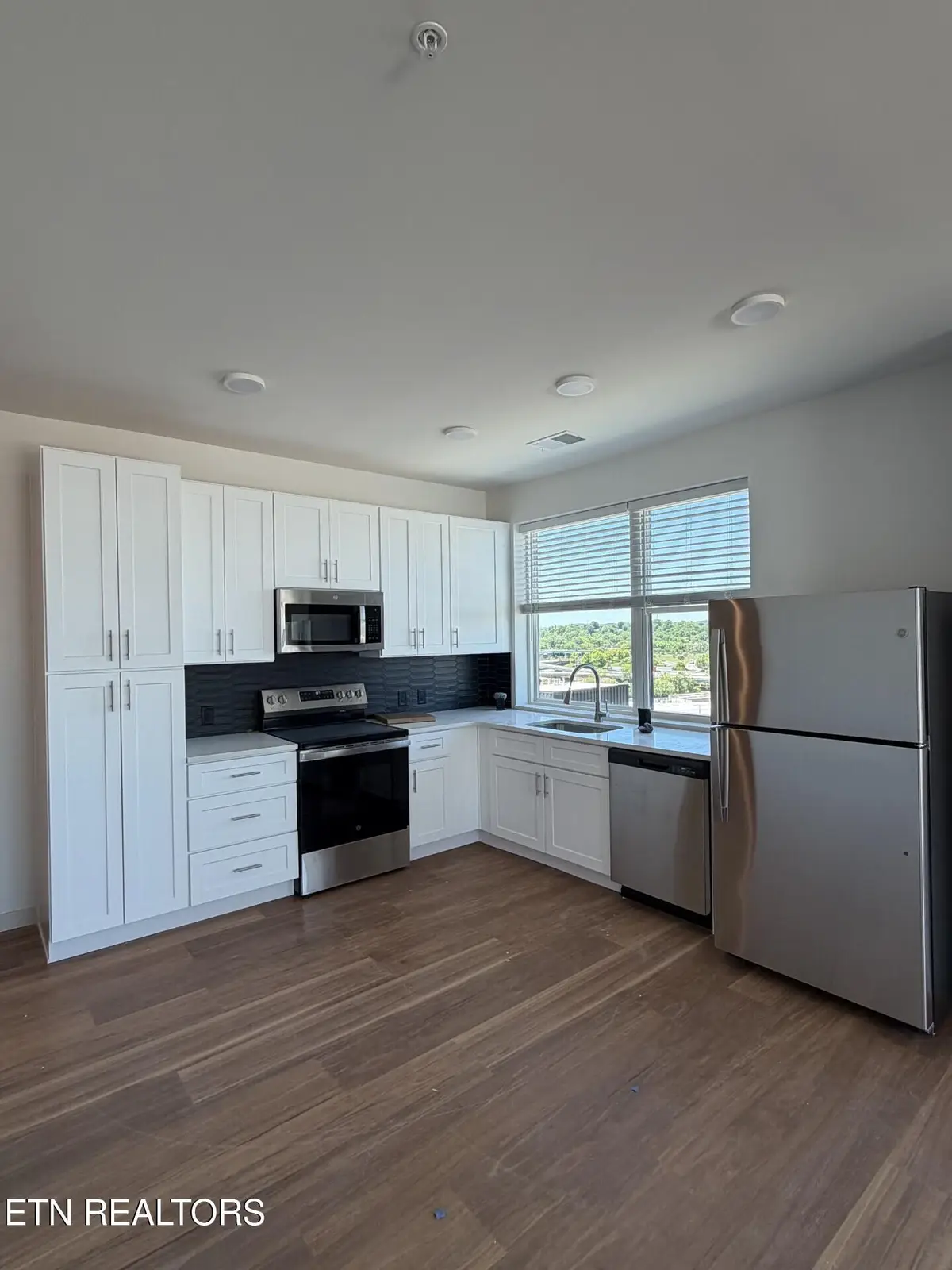 515 Cafego Place #501, Knoxville, TN 37902 - #1