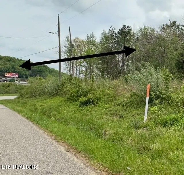 Douglas Lane, Jellico, TN 37762 - #2