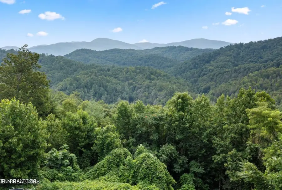 878 Little Berry Way, Del Rio, TN 37727 - #2