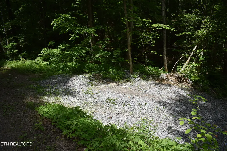 Shady Valley Rd, Ewing, VA 24248 - #3