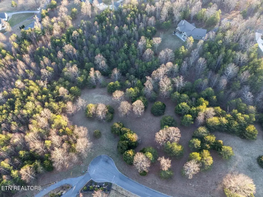 0 Skyhigh Tr, Dunlap, TN 37327 - #3
