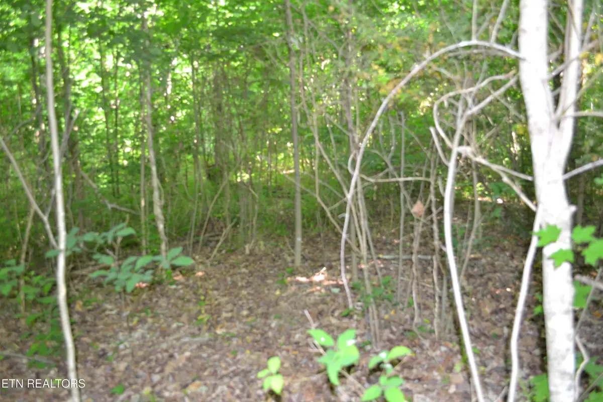 5ac Dynamite Lane, Livingston, TN 38570 - #1