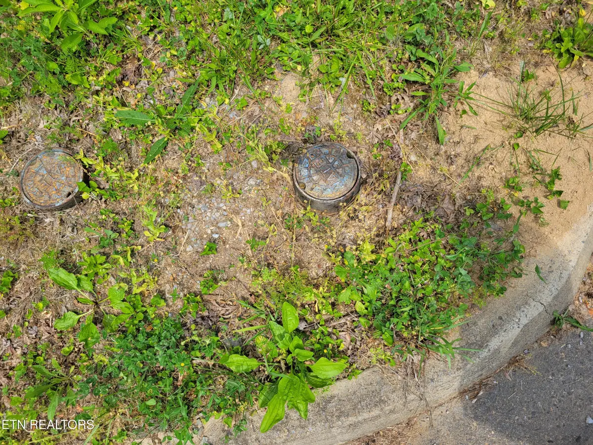 Lot 11 Peace Lane, Cosby, TN 37722 - #1