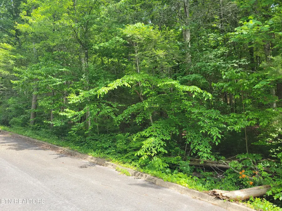 Lot 11 Peace Lane, Cosby, TN 37722 - #2