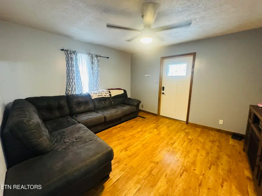 812 Andys Ridge Rd, Briceville, TN 37710 - #3