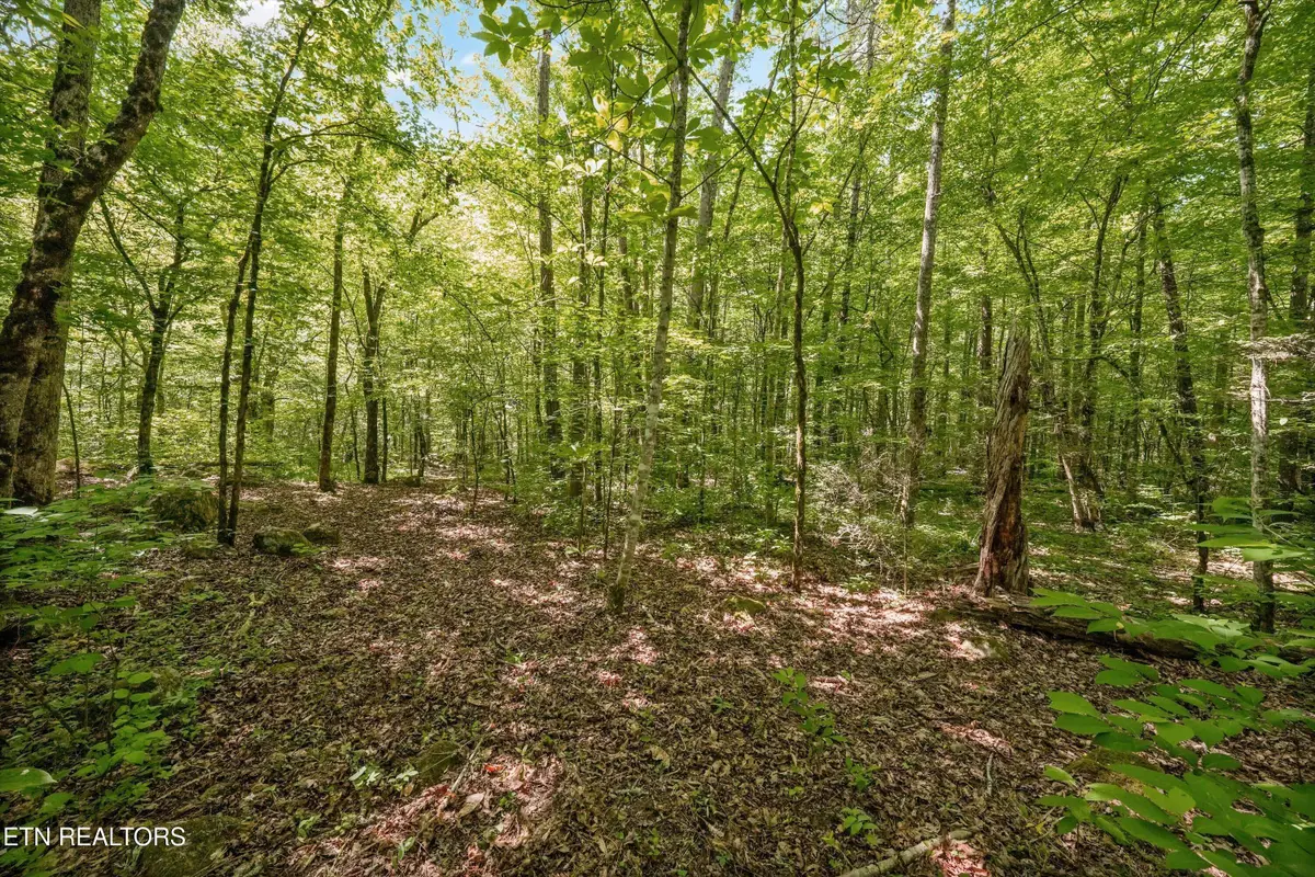 1322 E Millers Cove Rd, Walland, TN 37886 - #1