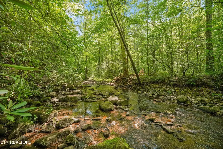 1322 E Millers Cove Rd, Walland, TN 37886 - #2