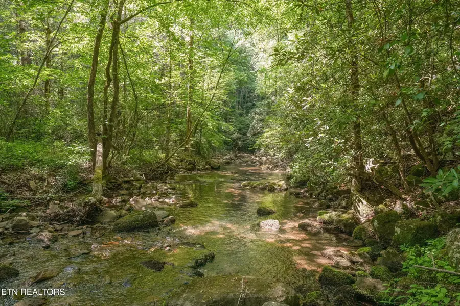 1322 E Millers Cove Rd, Walland, TN 37886 - #3