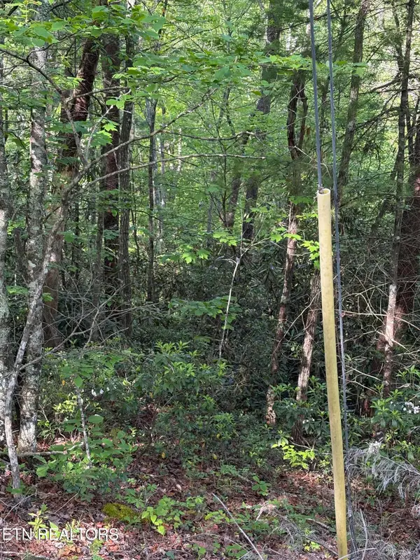 Lot 6 Walnut Flats Rd, Walland, TN 37886