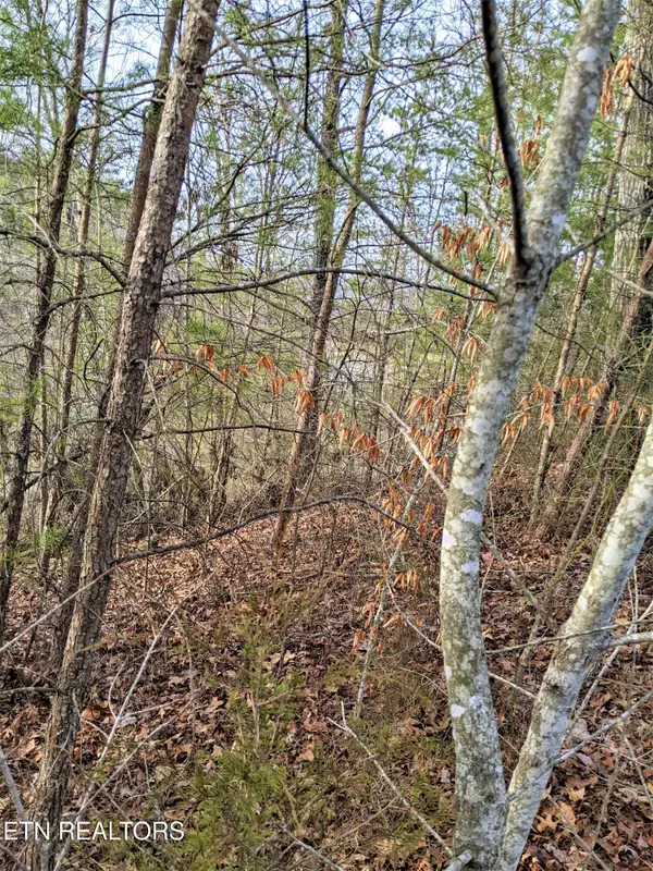 6220-6224 Outlook Tr, Russellville, TN 37860