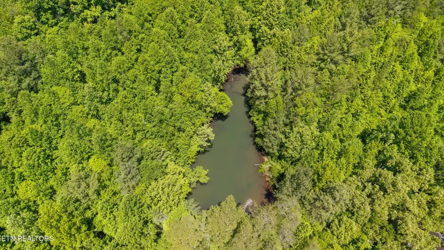 Old Chilhowee Tract 1 Rd, Seymour, TN 37865 - #2