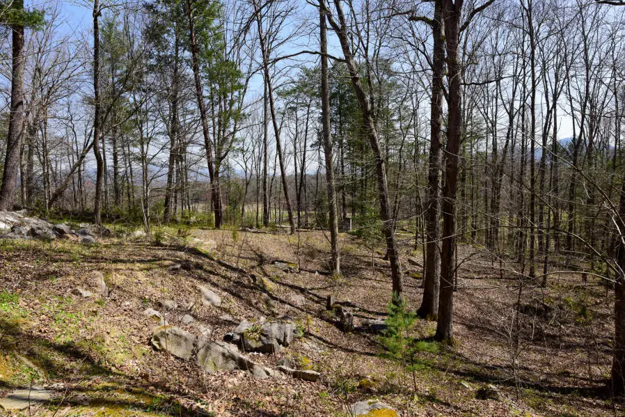114 Fairway Circle, Townsend, TN 37882 - #3