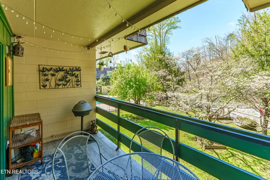 260 Roaring Fork Rd #220, Gatlinburg, TN 37738 - #3