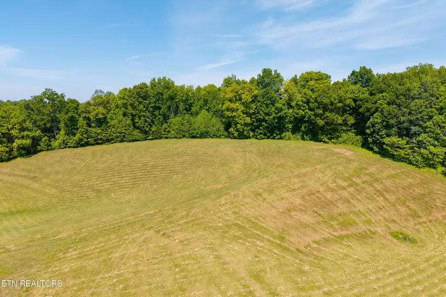 585 J T Foster Rd, Allons, TN 38541 - #2