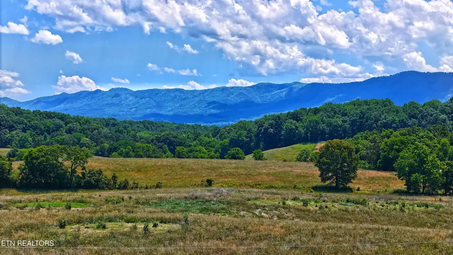 251 Cloud Way, Parrottsville, TN 37843 - #2