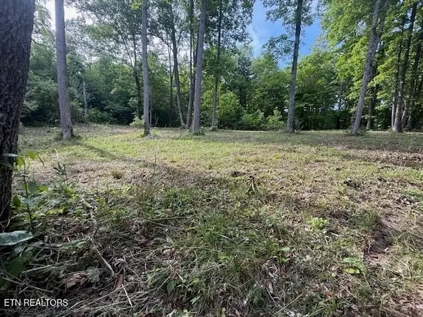 Hwy 70, Blackwater, VA 24221