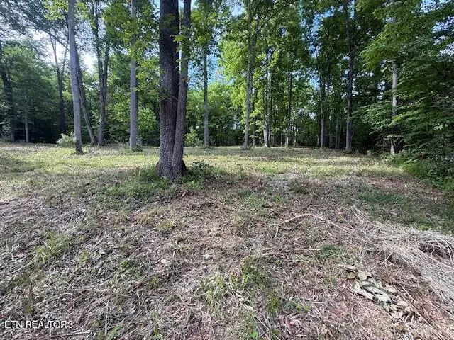 Hwy 70, Blackwater, VA 24221 - #3