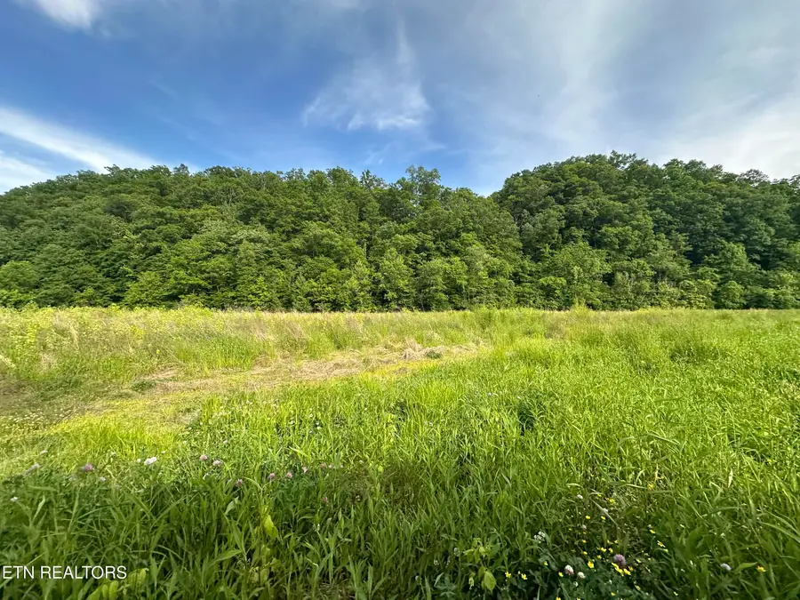Livesay Chapel Rd, Kyles Ford, TN 37765 - #2