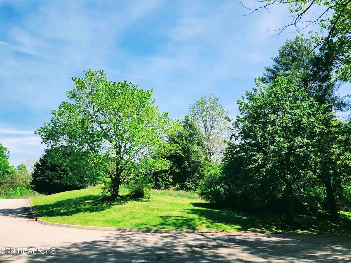 Melea Lane, Kingston, TN 37763 - #1
