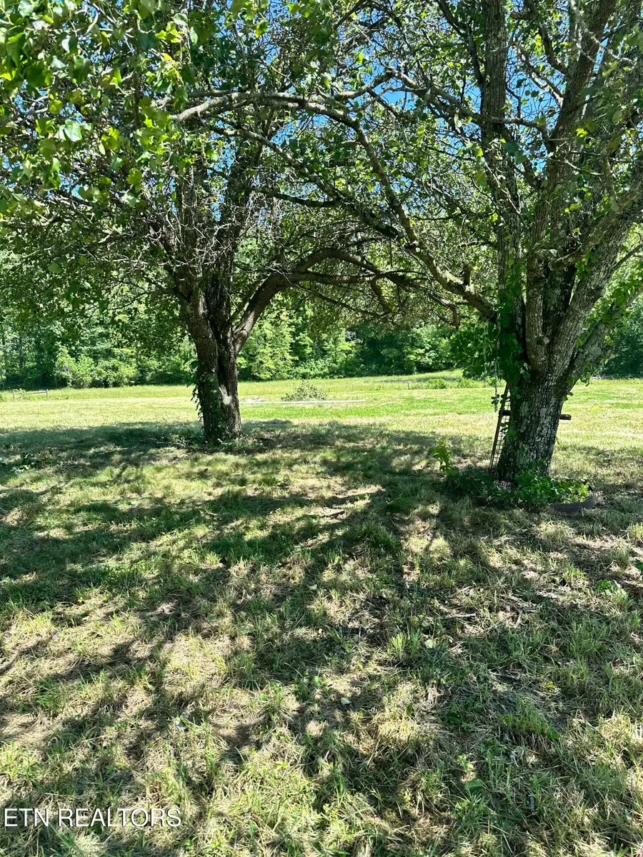 3169 Hinds Creek Rd, Heiskell, TN 37754 - #3