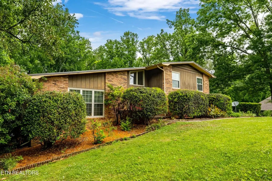 1404 Mimosa Drive, Louisville, TN 37777 - #2