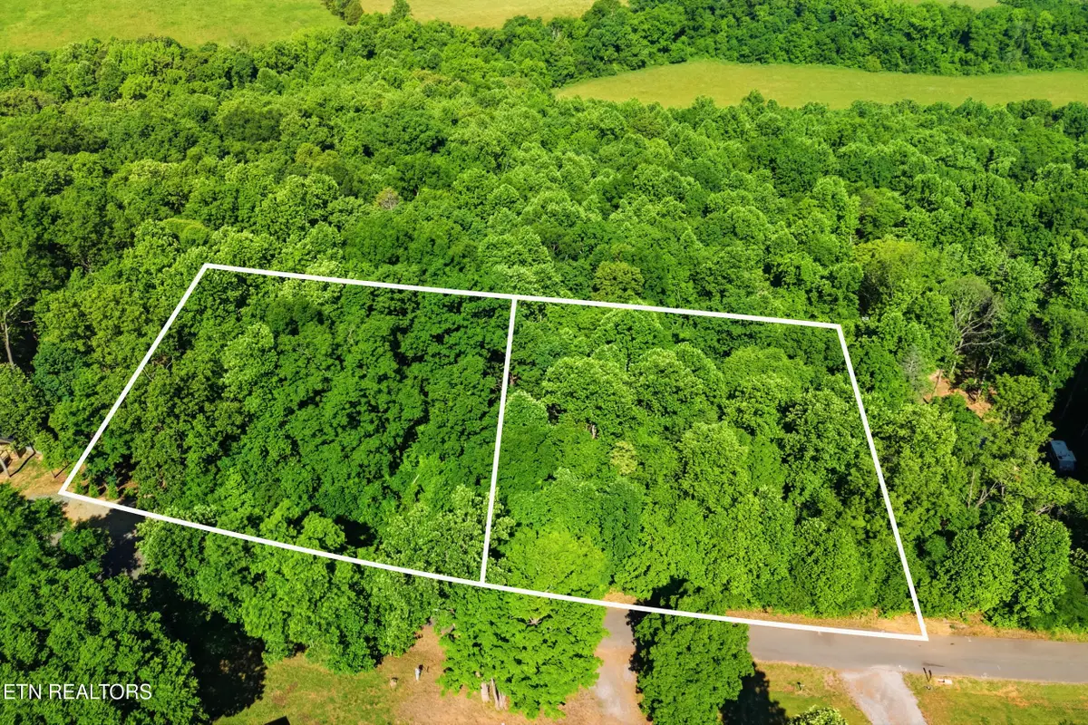 Lots 32&33 Stevia Way, Cosby, TN 37722 - #1