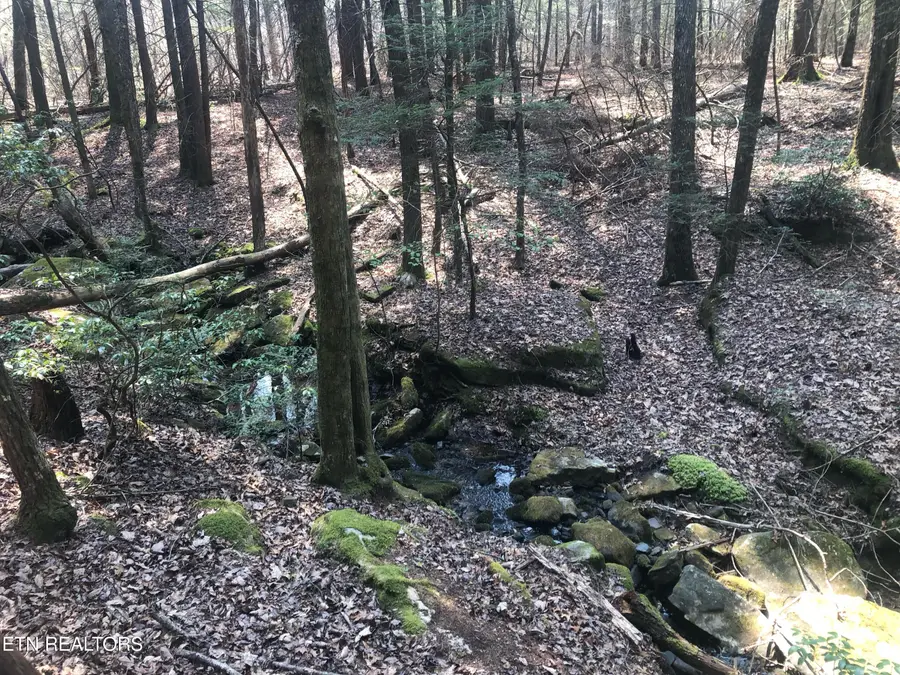 60  AC Jim Garrett Rd, Monterey, TN 38574 - #3