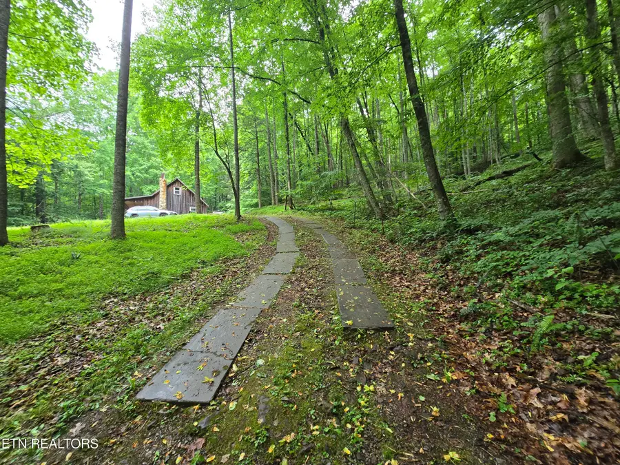 5866 Aj Osborne Hwy, Blackwater, VA 24221 - #2