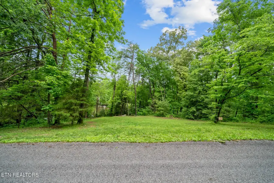 0.42AC Siever Rd, Crossville, TN 38572 - #3