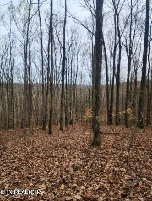 Upper Concord Rd, Ten Mile, TN 37880 - #1