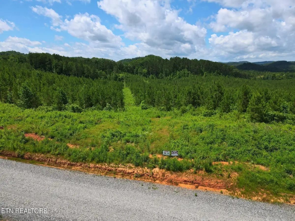 Lot 54 Three Point Rd, Vonore, TN 37885 - #1