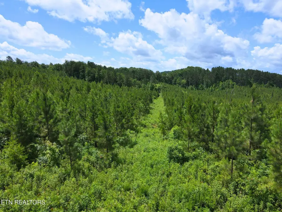 Lot 54 Three Point Rd, Vonore, TN 37885 - #2