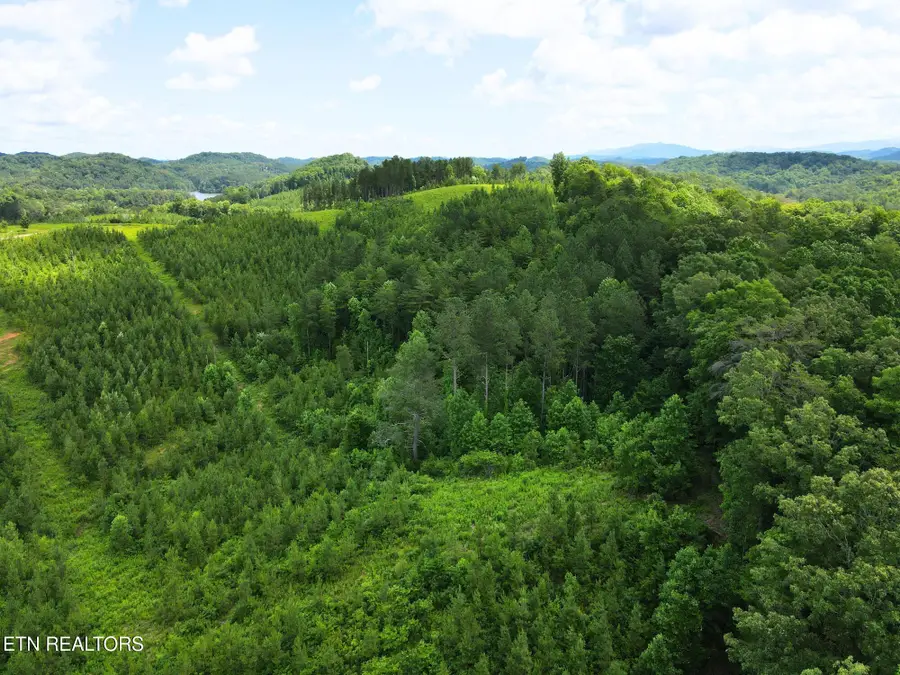 Lot 54 Three Point Rd, Vonore, TN 37885 - #3