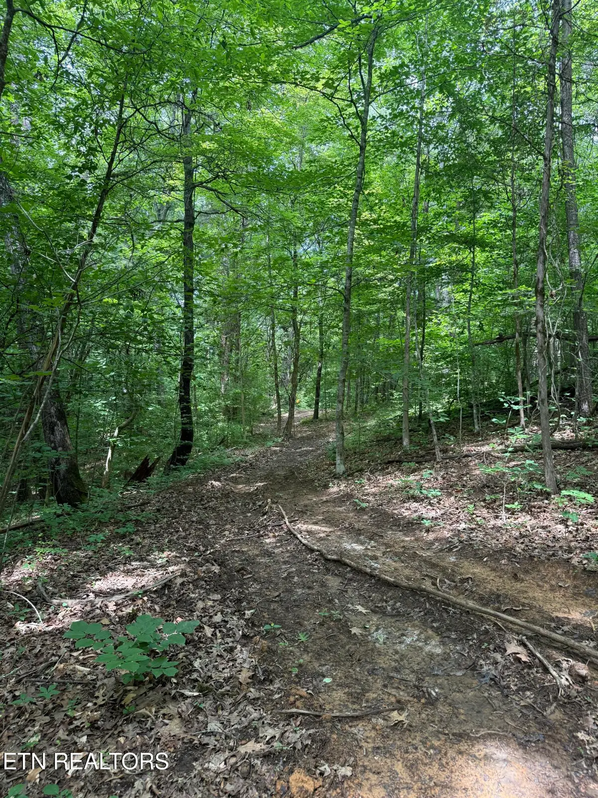 0 Thorngrove Pike, Knoxville, TN 37914 - #1