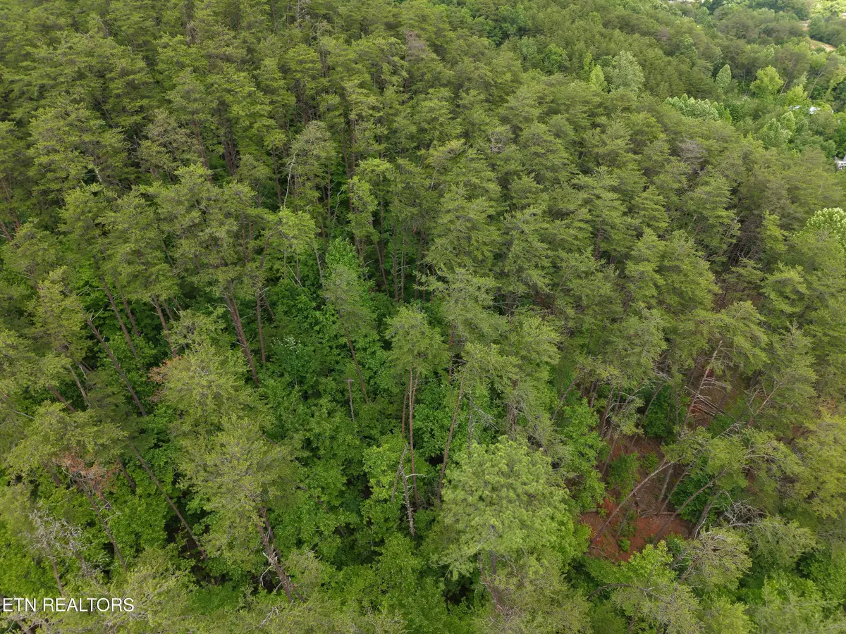 1124 Galyon Rd, Maryville, TN 37803 - #1