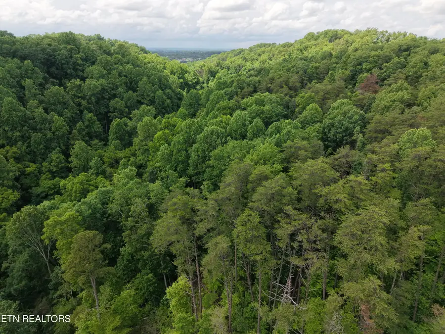 1124 Galyon Rd, Maryville, TN 37803 - #3