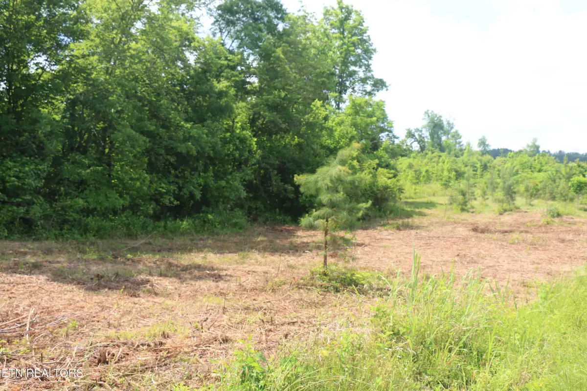 Tract 1 N Nopone Valley Rd, Decatur, TN 37322 - #1