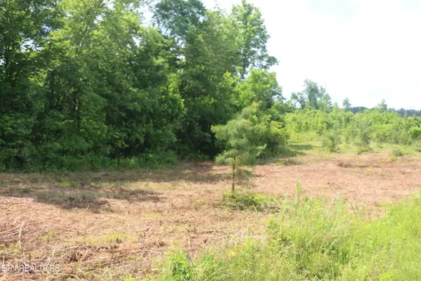 Tract 1 N Nopone Valley Rd, Decatur, TN 37322