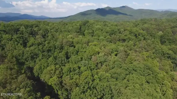 Fox Hunters Lane, Sevierville, TN 37876