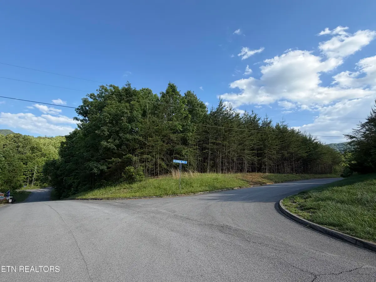 Lot #36 Burning Oaks Drive Drive, Sevierville, TN 37876 - #1